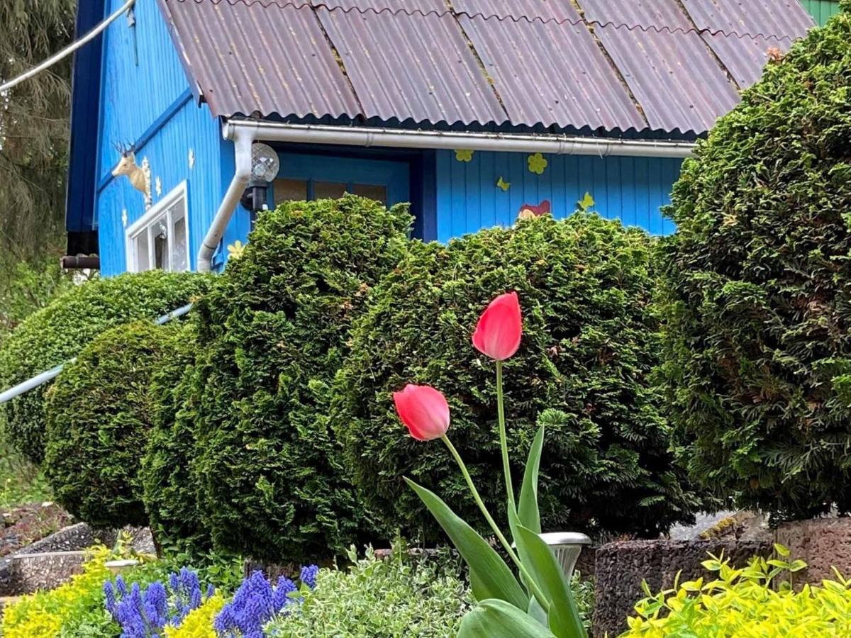Ferienwohnung Hofmann-Trier โคบวร์ก ภายนอก รูปภาพ